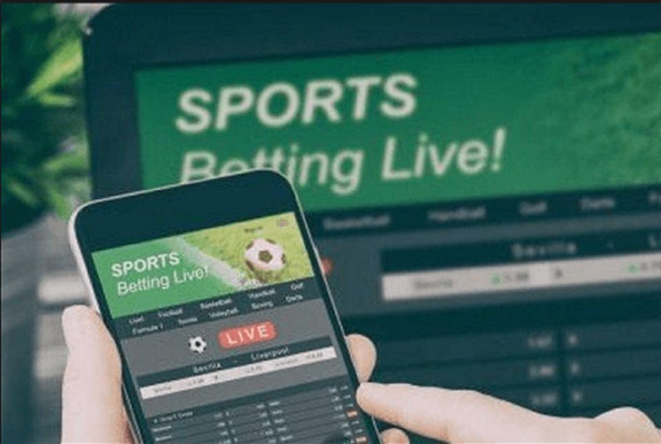 What Should You Expect From an Online Betting Platform Available in Canada