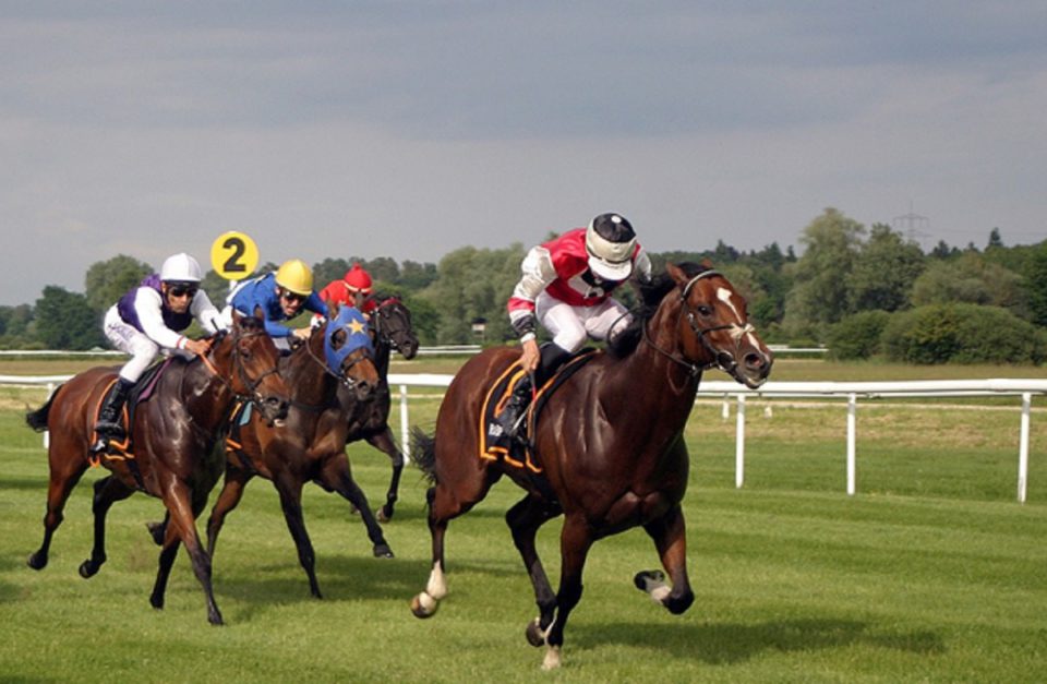 How Important is In-Depth Analysis in Horse Racing Betting